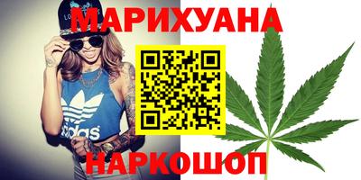 прущие грибы Можга